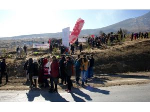 Sivas'ta "2. Bereket Ormanı" oluşturuldu