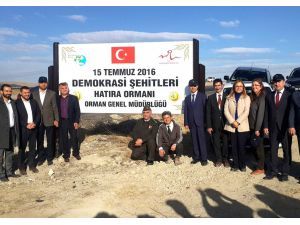 15 Temmuz şehitleri hatıra ormanı