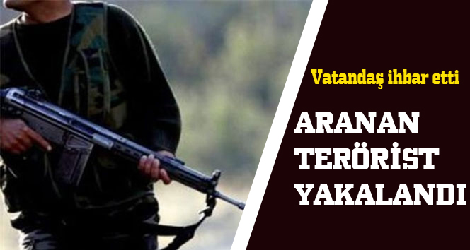 TSK açıkladı! Terörist Serhenk Aybar yakalandı