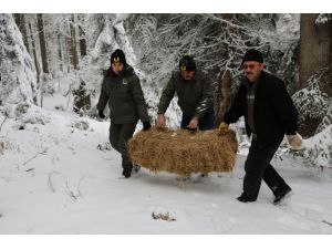 Yabani hayvanları için doğaya yem bırakıldı