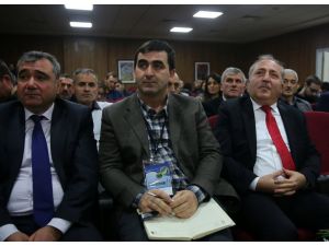 Fındıkta Külleme Hastalığı Çalıştayı