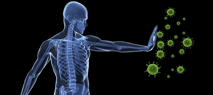 Bağışıklık sisteminizi güçlendirecek 10 besin