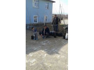 Bozkır'da "Bozdam Mahallesi'nde Bir Dikili Ağacın Olsun" Kampanyası