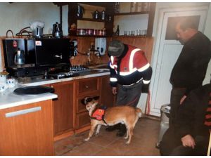 Türkiye'de "Huzur" operasyonu