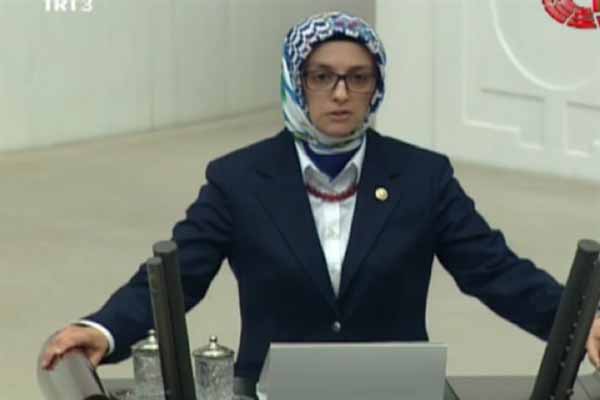 2017 Yılı Bütçesi Genel Kurulda