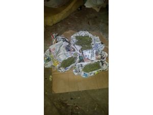 Balıkesir'de uyuşturucu operasyonları