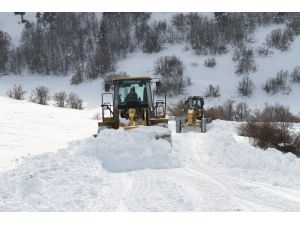 Doğu Anadolu'da kış