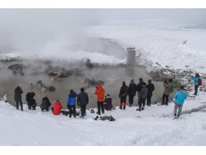 Manda ve atların "kaplıca keyfi"ni fotoğraflıyorlar