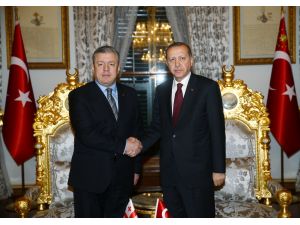 Cumhurbaşkanı Erdoğan'ın kabulü