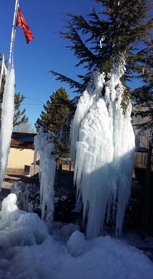 Beyşehir’de ağaçlar buz tuttu