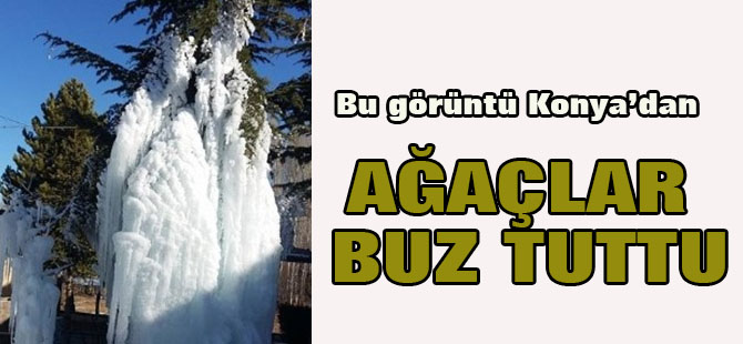 Bu görüntü Konya'dan: Ağaçlar buz tuttu