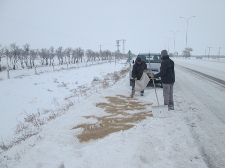 Aç kalan kuşlar unutulmuyor