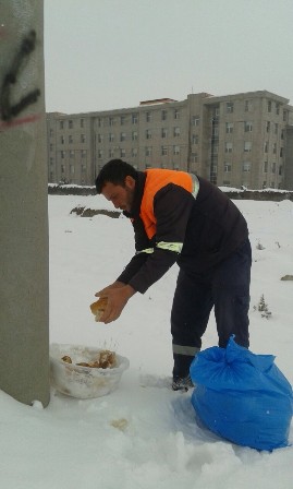 Ereğli’de sokak hayvanlarına yem bırakıldı