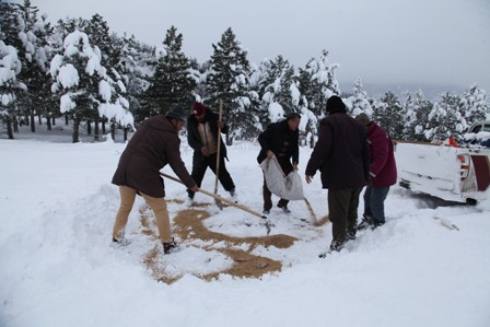 Seydişehir Belediyesi kuşlar için doğaya yem bıraktı