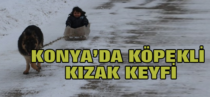 Konya'da Köpekli Kızak Keyfi