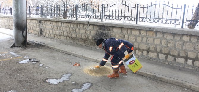 BAYAT EKMEKLERİ HAYVANLARA VERİN