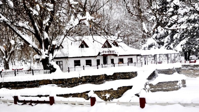 Seydişehir'de Beyaza Bürünen Kuğulu Park'ta Kartpostallık Fotoğraflar