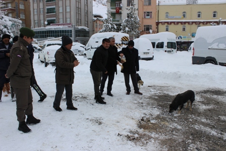 Bozkır’da sokak hayvanları unutulmadı