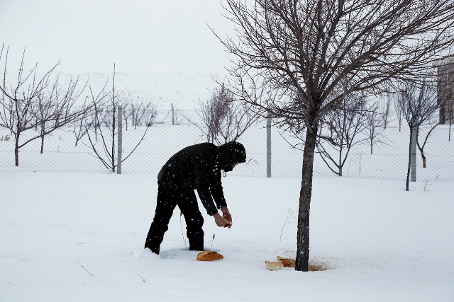 KOMEK'ten doğaya saygı
