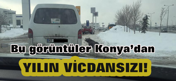 Yılın vicdansızı