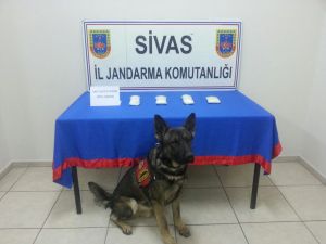 Sivas'ta uyuşturucu operasyonu