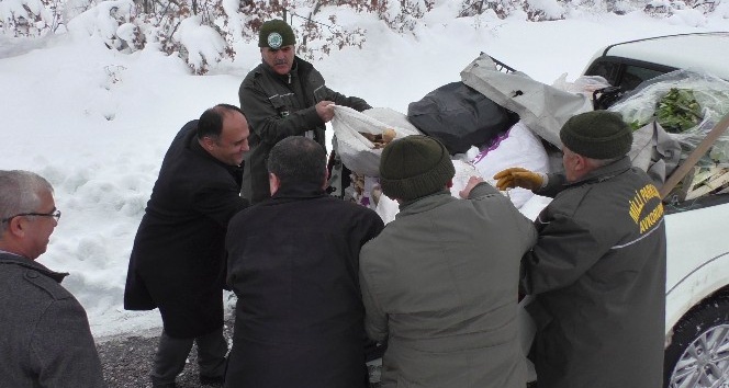 Beyşehir’de vahşi hayvanlar için doğaya yiyecek bırakıldı