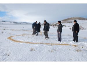 Ilgın'da kuş ve yaban hayvanları unutulmadı