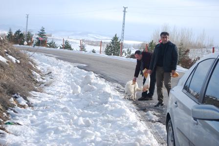 Ilgın'da kuş ve yaban hayvanları unutulmadı