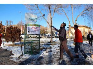 "Çöpe bir basket at"