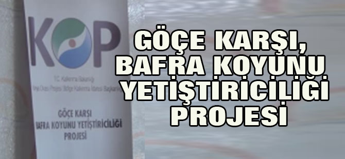 Göçe Karşı, Bafra Koyunu Yetiştiriciliği" Projesi