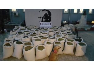 Diyarbakır'da narkoterör operasyonu