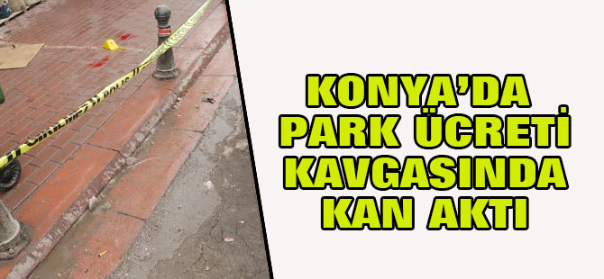 Park ücreti ödememek için kan akıttı!
