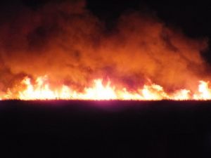 GÜNCELLEME - Göksu Deltası'nda yangın