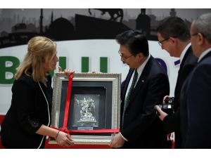 Türkiye Büyükler ve Veteranlar Karate Şampiyonası