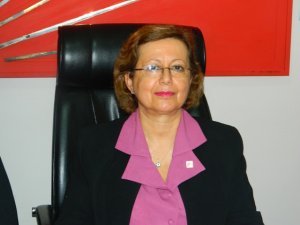 Demirhan, Meclis’teki olayları kınadı