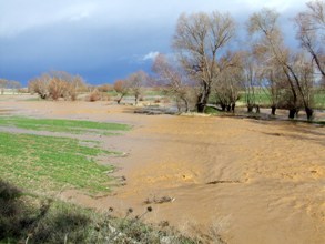 Akşehir'de şiddetli yağmur