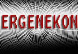 Türkiye'den Bakü'ye Ergenekon!