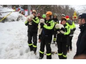 İtalya'daki çığ felaketi