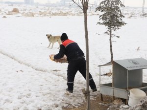 Yaşam mücadelelerine destek Karatay'dan