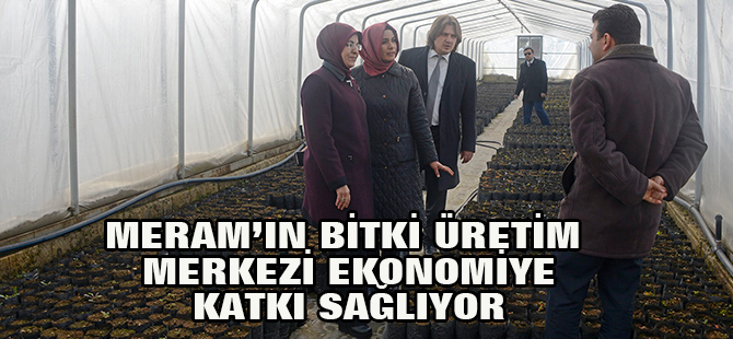 Meram’ın bitki üretim merkezi seralar