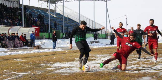 Sarayönü ve Akşehir galip