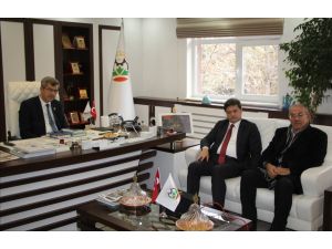 AK Parti Ankara İl Başkanı Yamalı, Beypazarı'nda