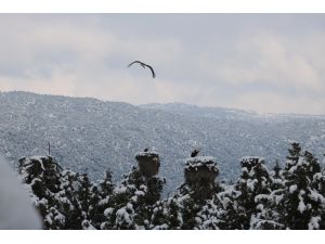 Beyşehir'deki Leylekler Vadisi dünyaya tanıtılacak