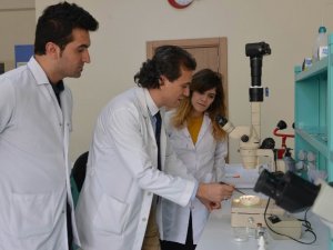 SÜ, derin yaraları iyileştirecek sinek larvası üretecek