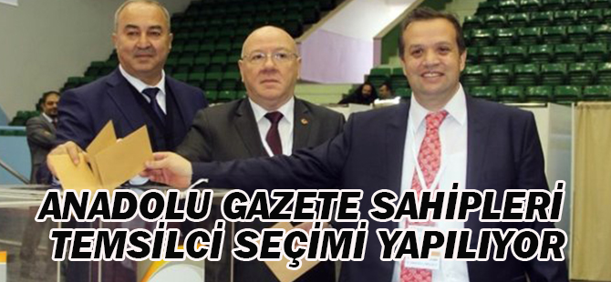 Anadolu Gazete sahipleri temsilci seçimi yapılıyor