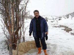 Doğaya terk edilen atlara yem bıraktı