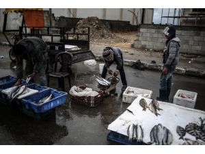 Mısır'dan Gazze'ye balık girişi