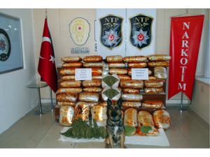 Gaziantep'te 2016'da uyuşturucu satıcılarına ağır darbe