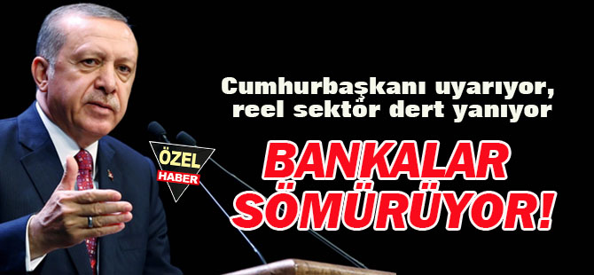 Cumhurbaşkanı uyarıyor, reel sektör dert yanıyor bankalar sömürüyor!