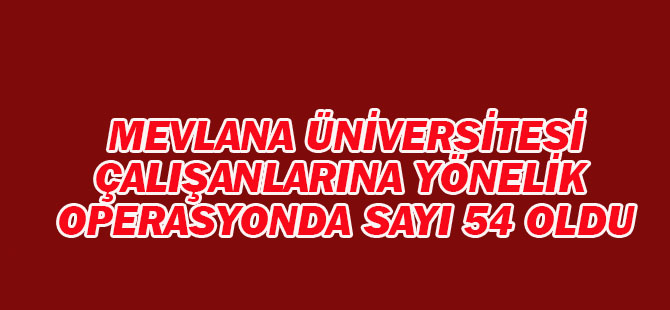 Konya Merkezli 18 İlde Fetö/pdy Operasyonunda Sayı 54 oldu